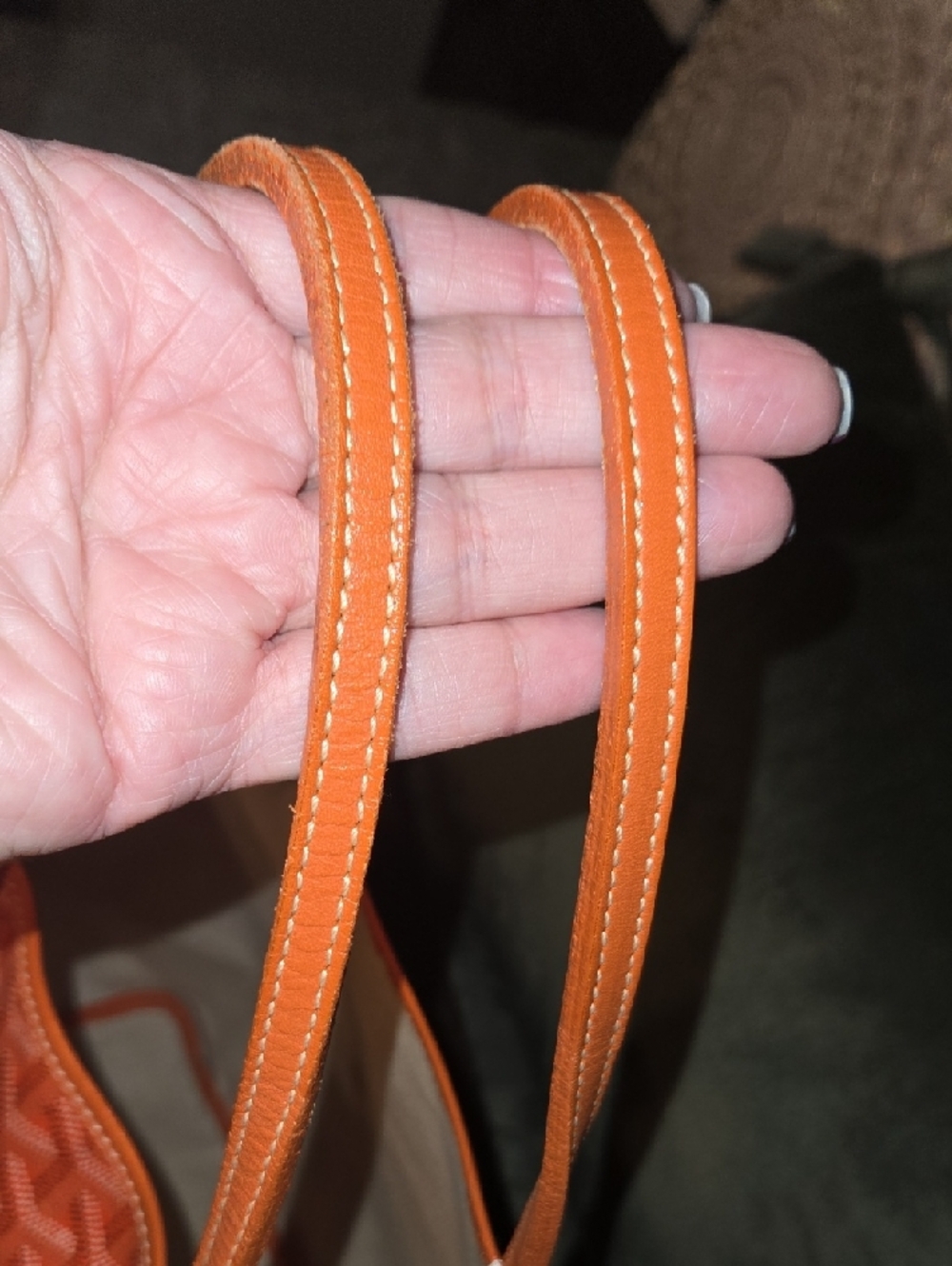 Goyard PM Tote - Picture 6 of 7